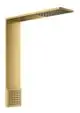 AXOR-HG-AXOR-ShowerComposition-Brausenmodul-110-220-1jet-mit-Schulterbrause-Polished-Gold-Optic-12593990 gallery number 1